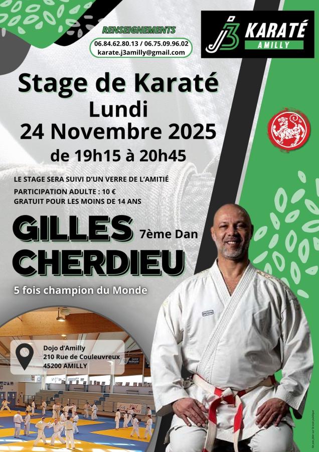 Stage de karate le lundi 24 novembre 2025