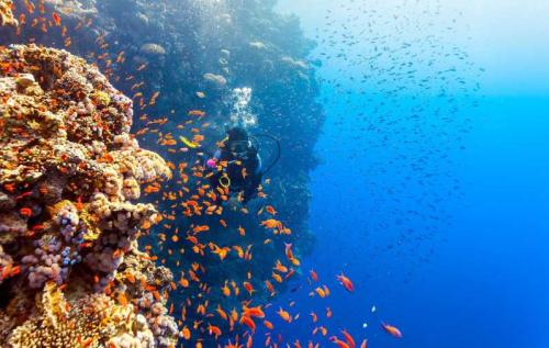Voyage Egypte