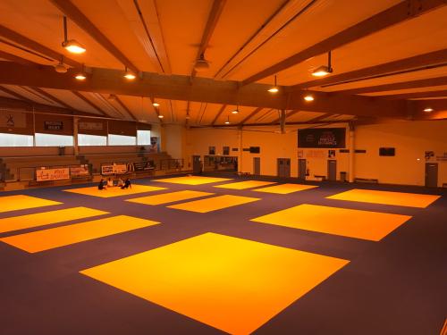 Judo Jujitsu