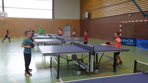 Tennis de table